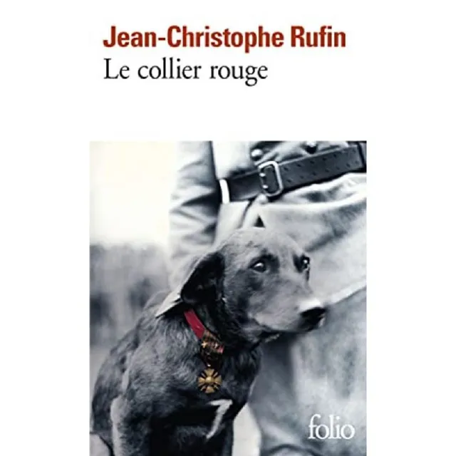 Inconditionnelle de Ruffin!