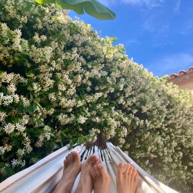 Vive la Siesta !