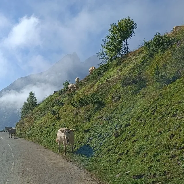 Vacances à la montagne