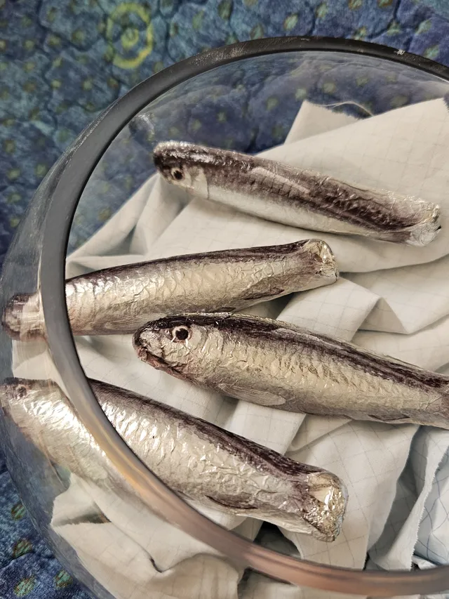 Comme des poissons dans l'eau