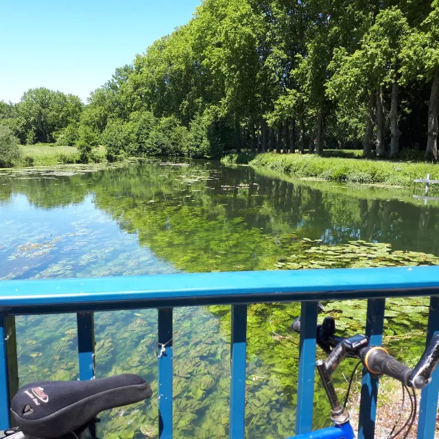 Marais poitevin