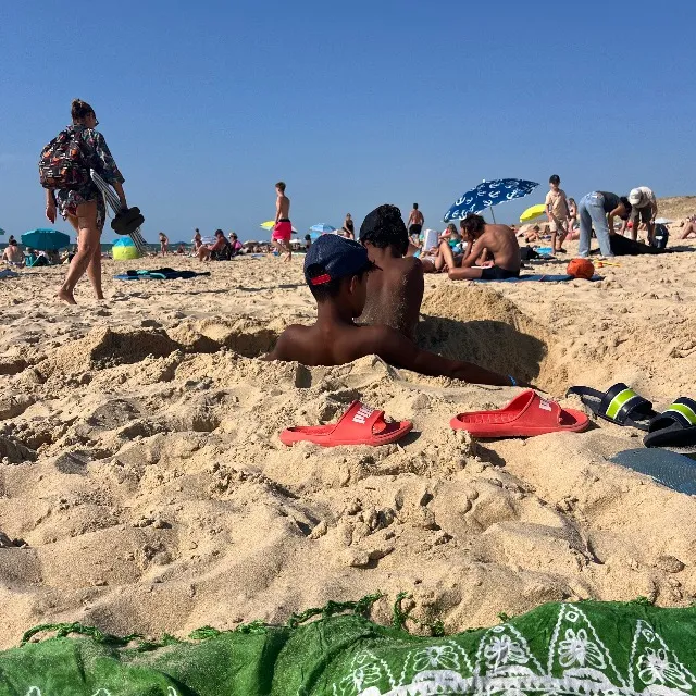 Les landes avec Sandaya