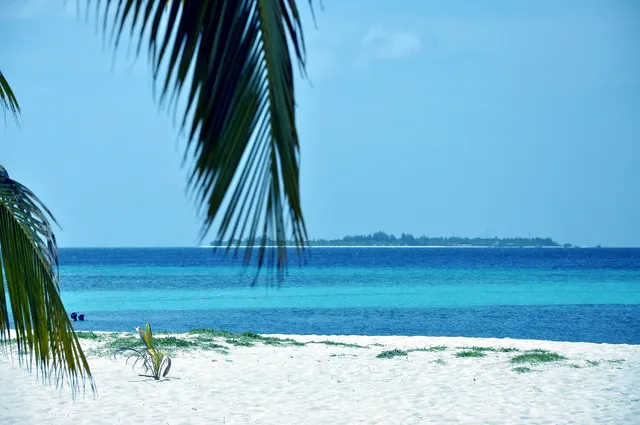 une ile paradisiaque