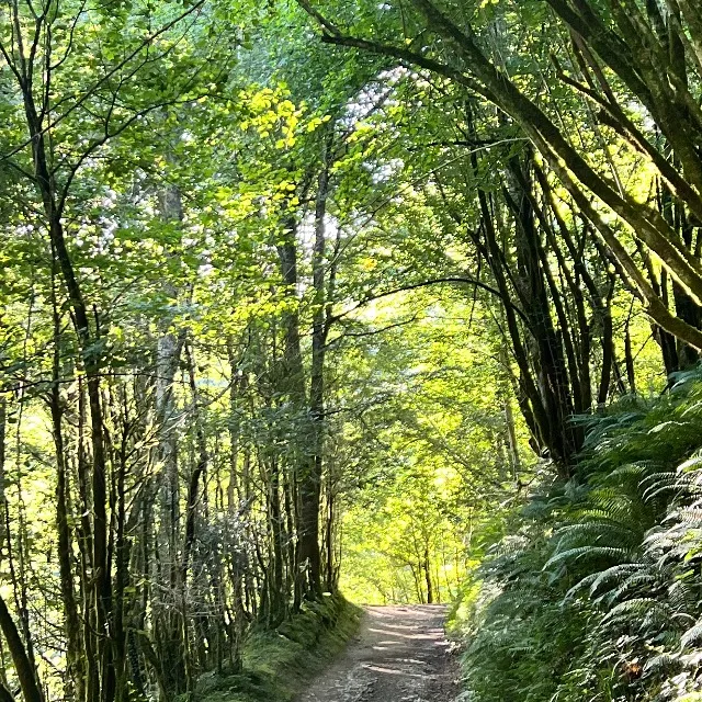 Les Pyrénées