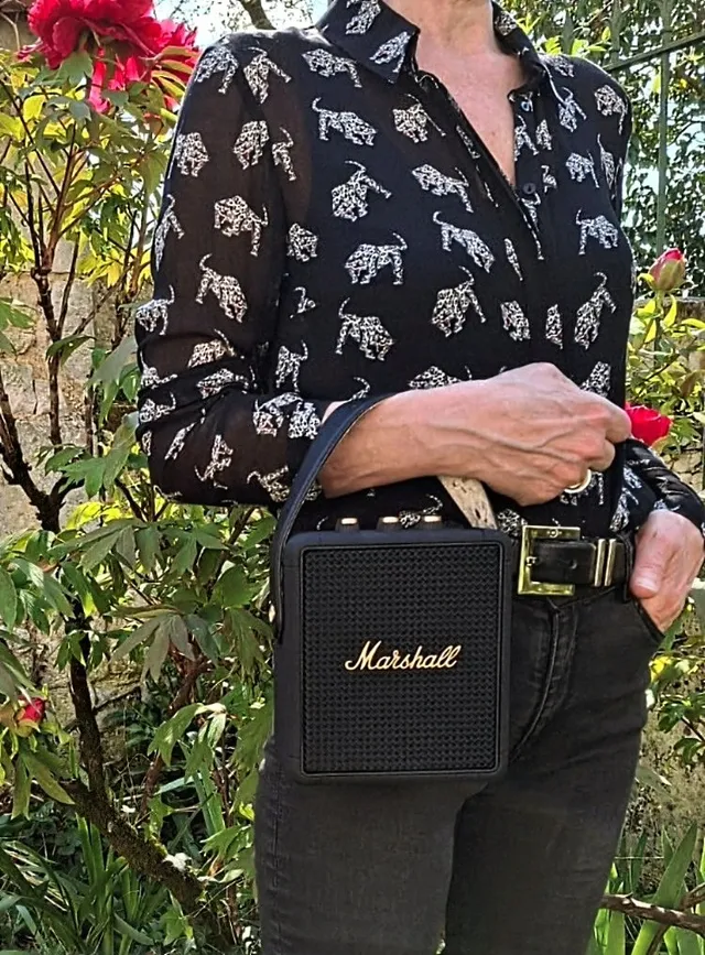 Marshall 🎸