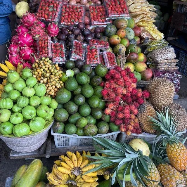 Bali