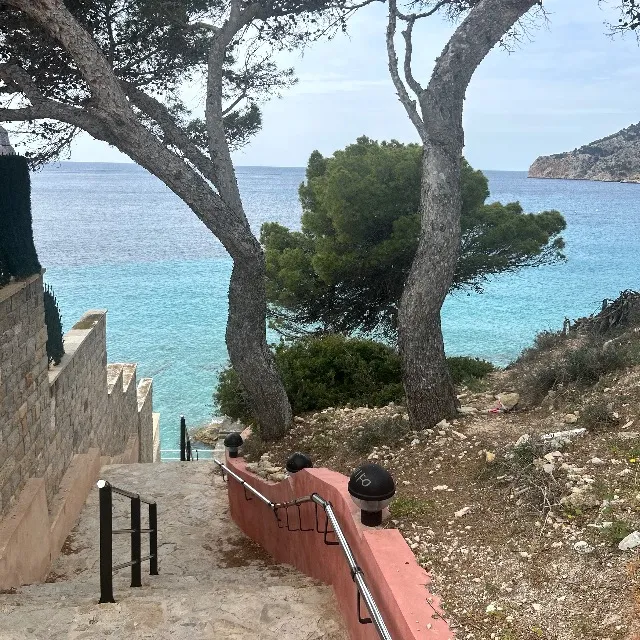 Mallorca mi amor