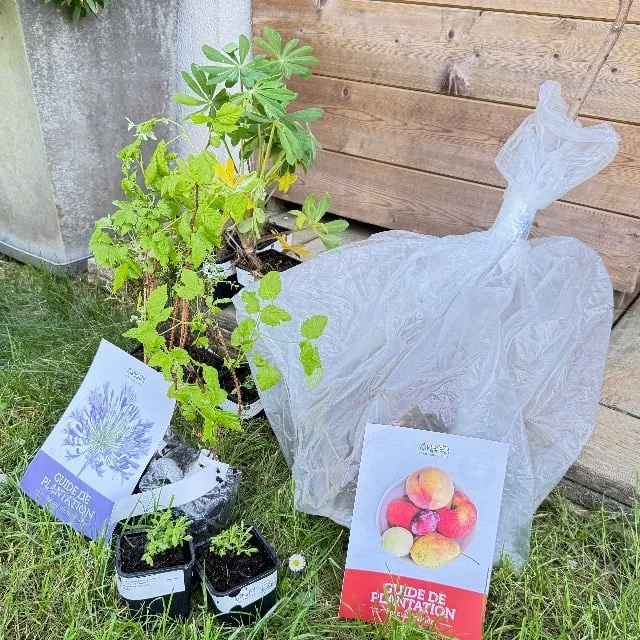 En avant le jardinage !👩‍🌾
