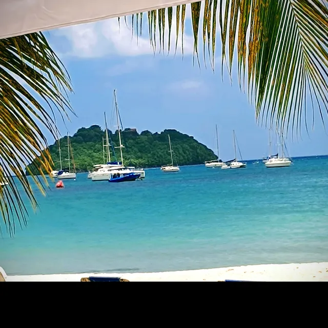 Martinique : Madinina, l'île aux fleurs