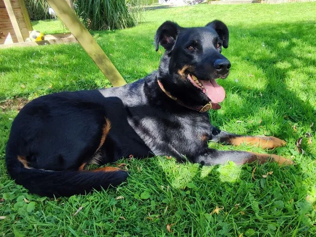 Après midi détente avec mon bébé ❤️