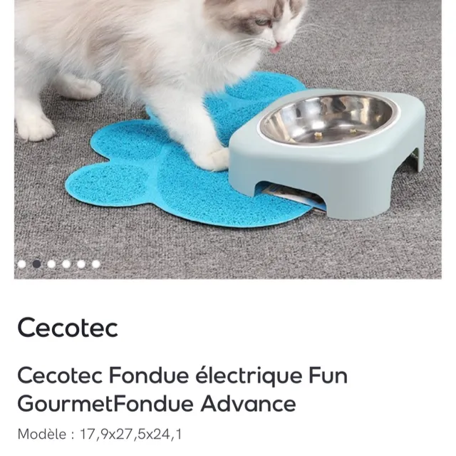 Fondue électrique CECOTEC