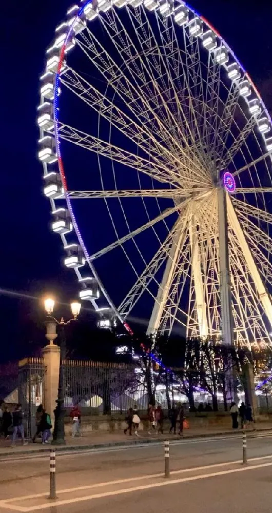 La grande roue de Paris