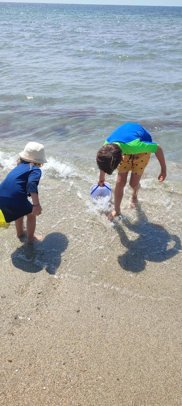 Plage du Morbihan