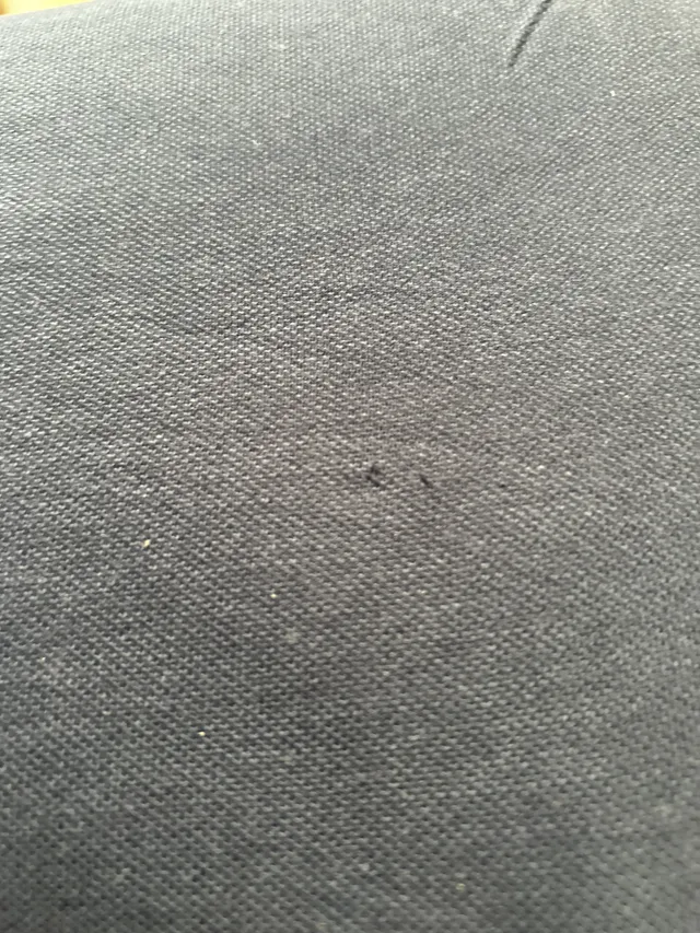 Gant