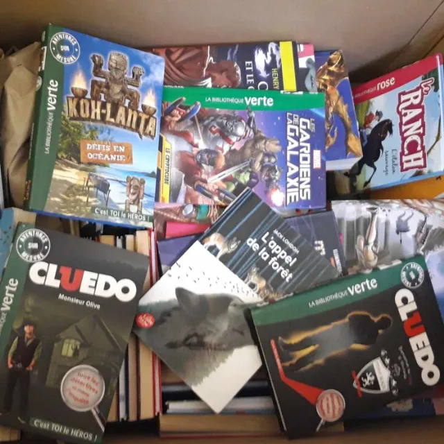 lots de livres jeunesse pour la bibliothèque de l'école
