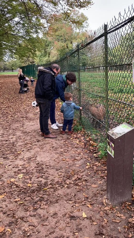 Geox pour une balade en famille au top 😀