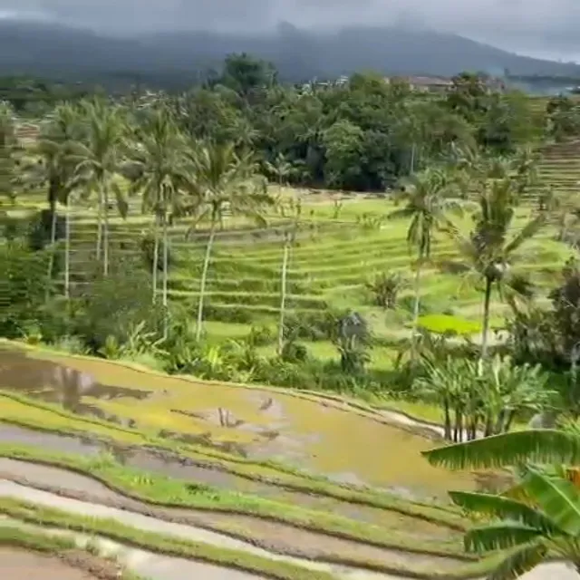 Bali