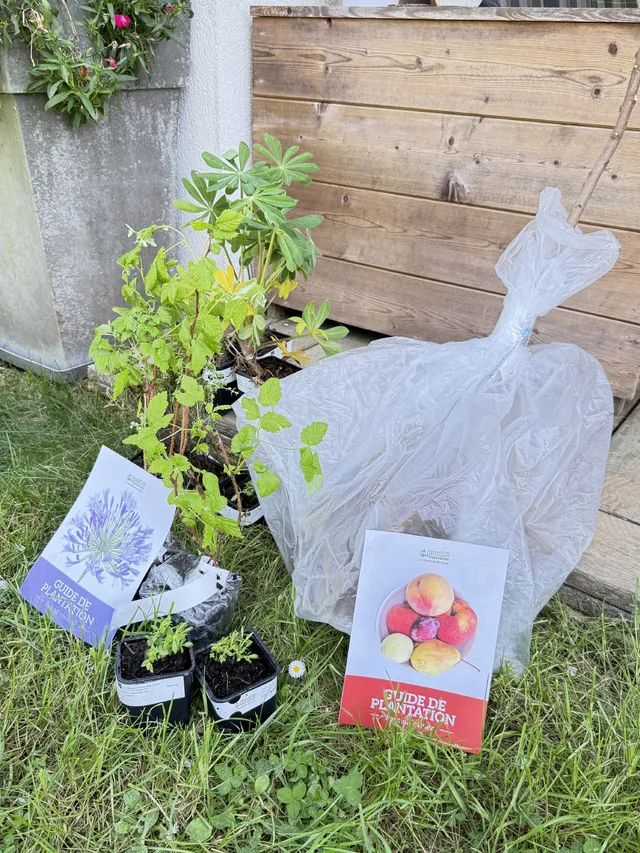 En avant le jardinage !👩‍🌾