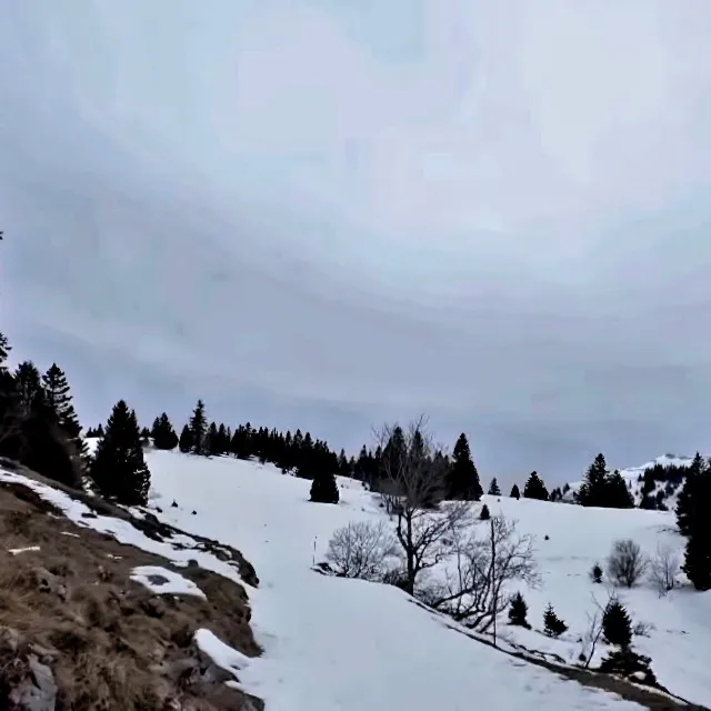 Montrond Haut Jura