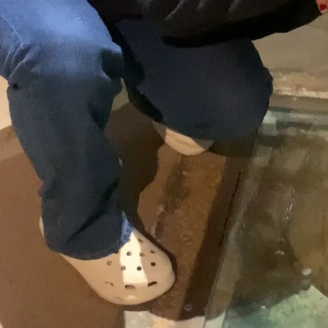Crocs à plate-forme