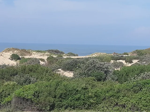 Port Alfred