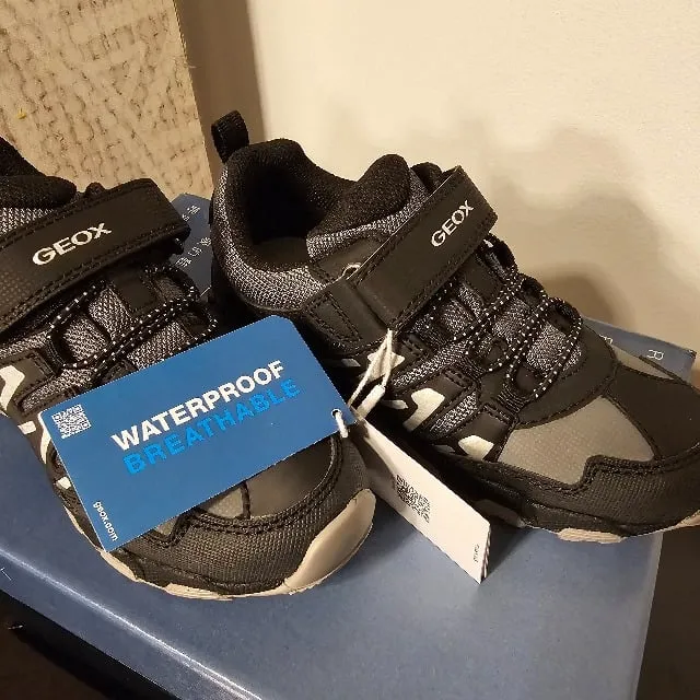 Basket Geox