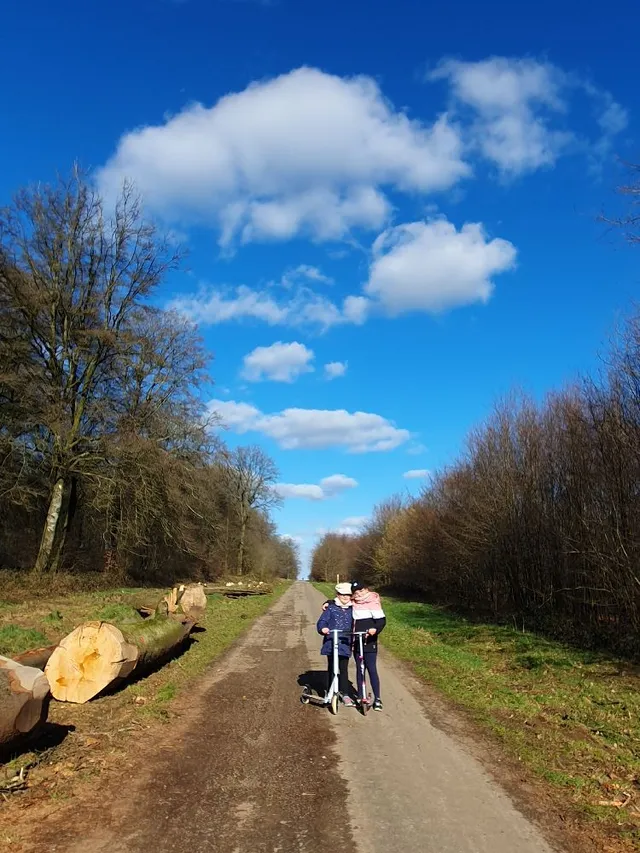 Balade sportive en forêt