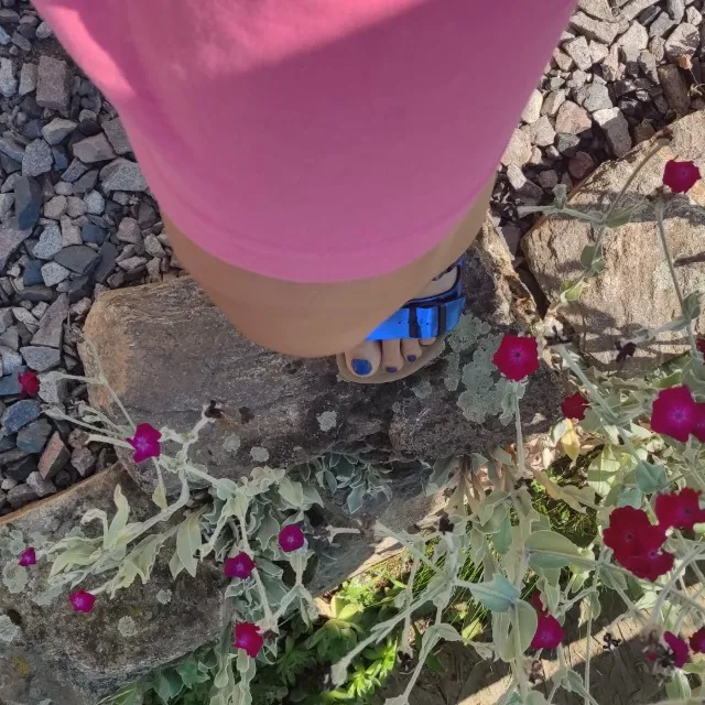 Bleu Bayton 🌺