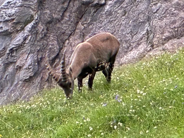 Monêtier-les-bains