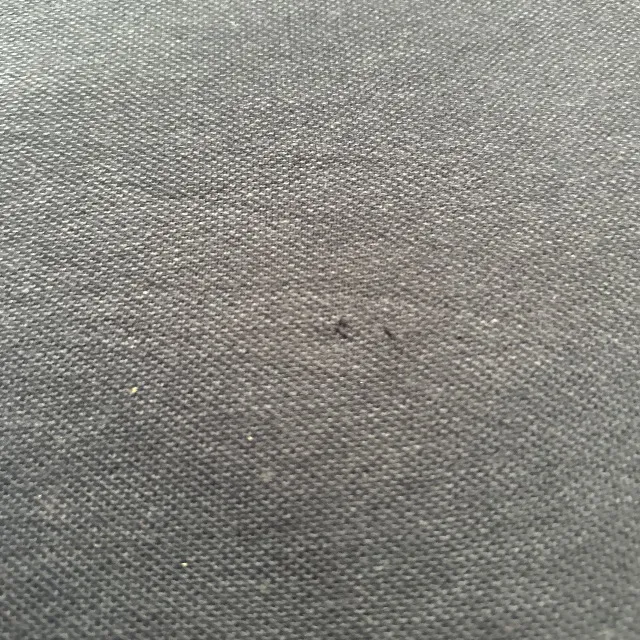 Gant
