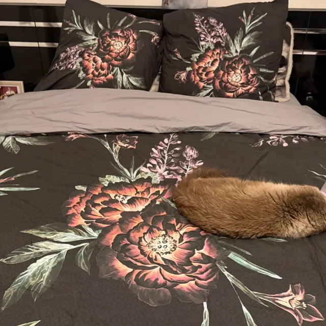 Housse de couette