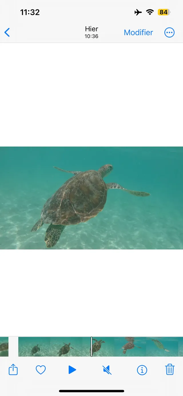 Un rêve éveillé à l'île Maurice
