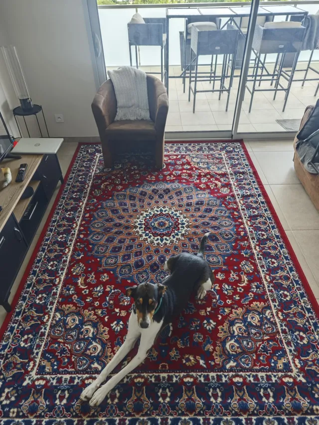 Tapis O&Ko superbe! 🥰🤩