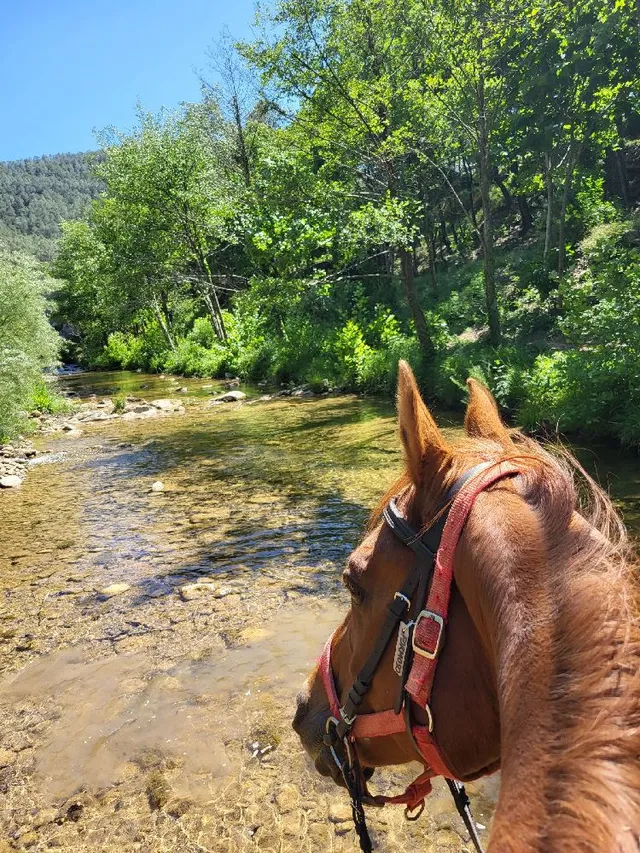 La randonnée equestre