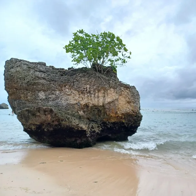 Magnifique Bali