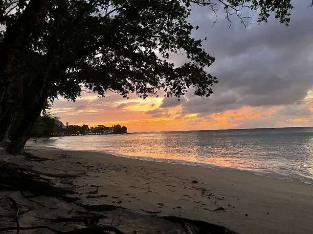 Souvenir des Seychelles