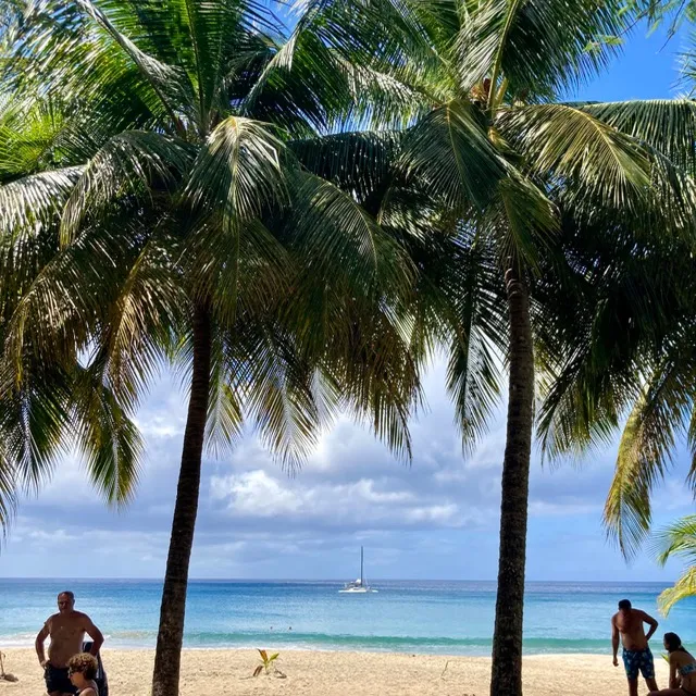 Guadeloupe 😎