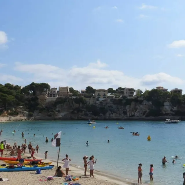 Palma de majorque