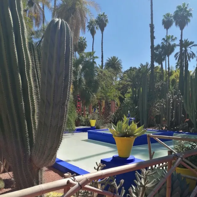 Maroc Jardin de Majorelle
