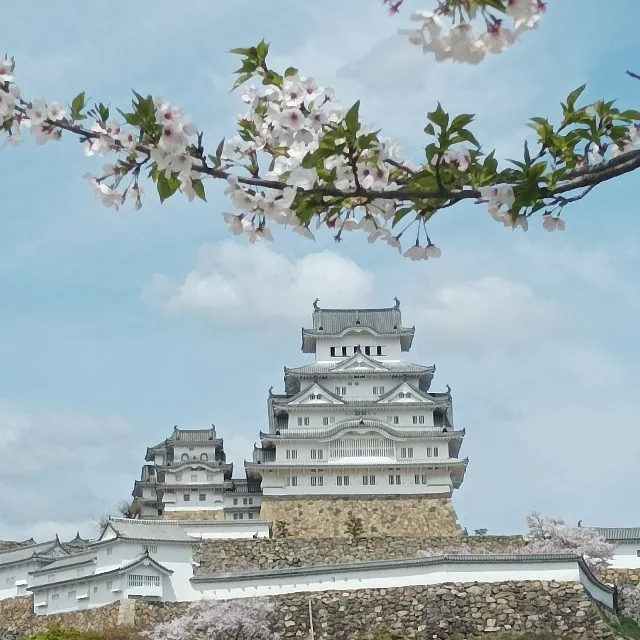 Château d'Himeji / Japon
