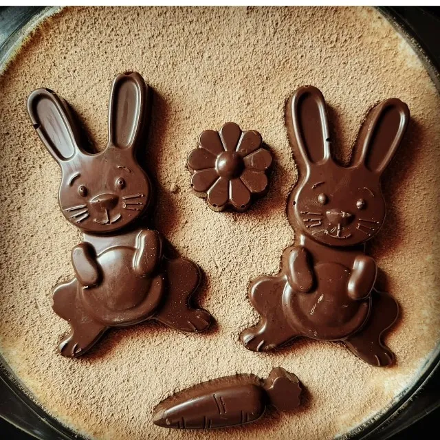 Tiramisu maison et lapins gourmands!