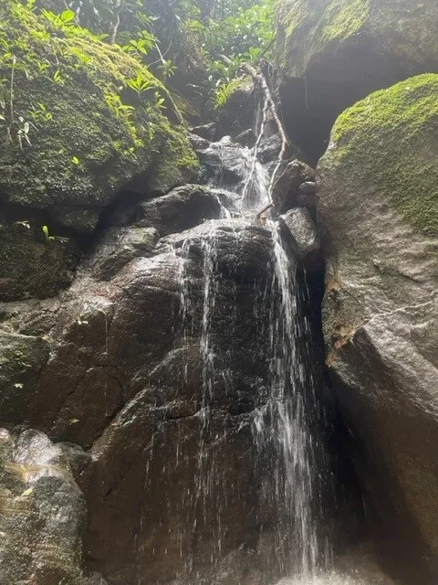 Beau voyage au Brésil - Rio de Janeiro