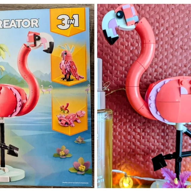 Passion Lego