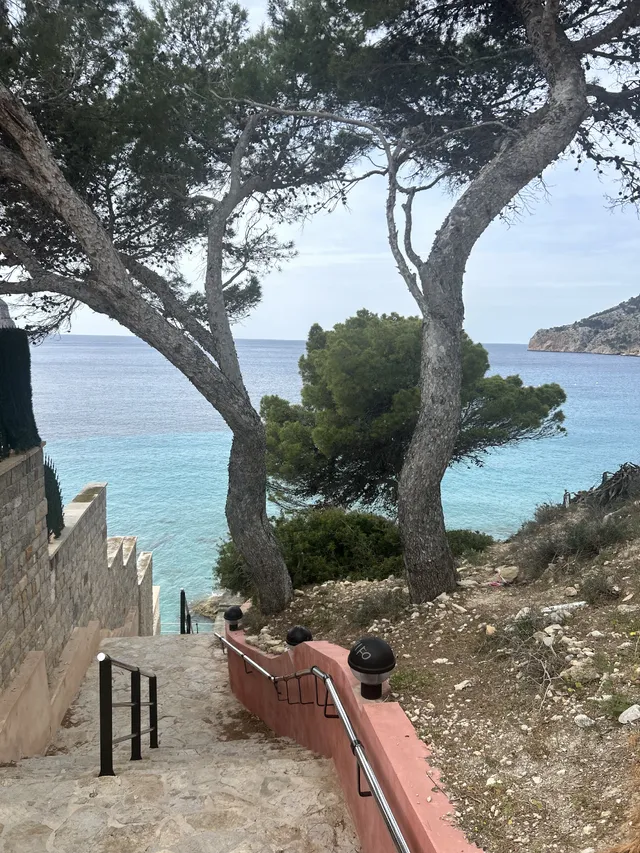Mallorca mi amor