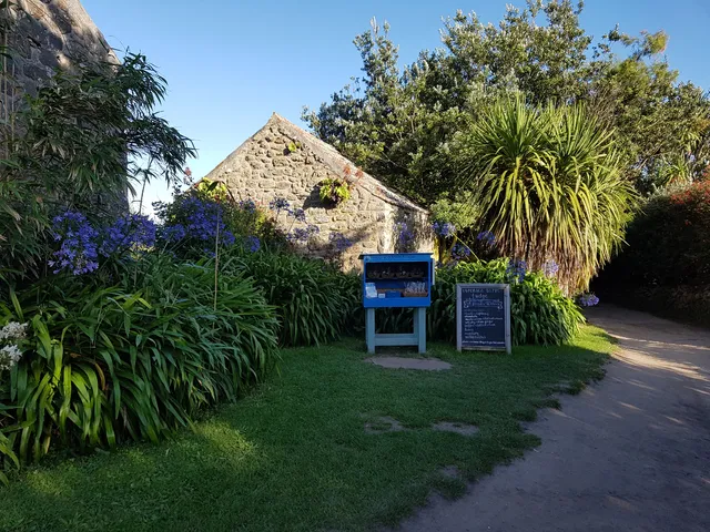 Les scilly, réservées aux initiés...