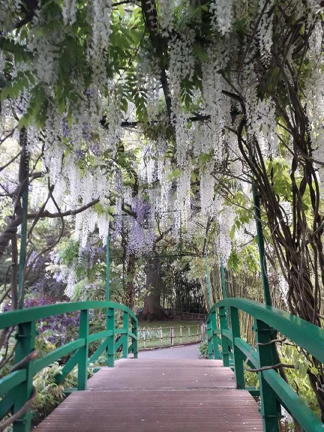 GIVERNY….