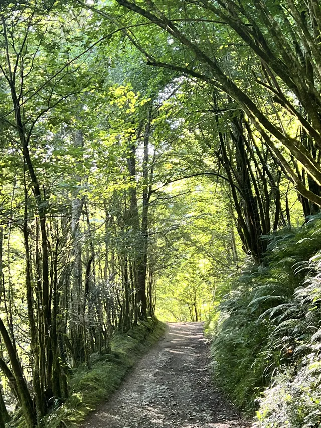 Les Pyrénées