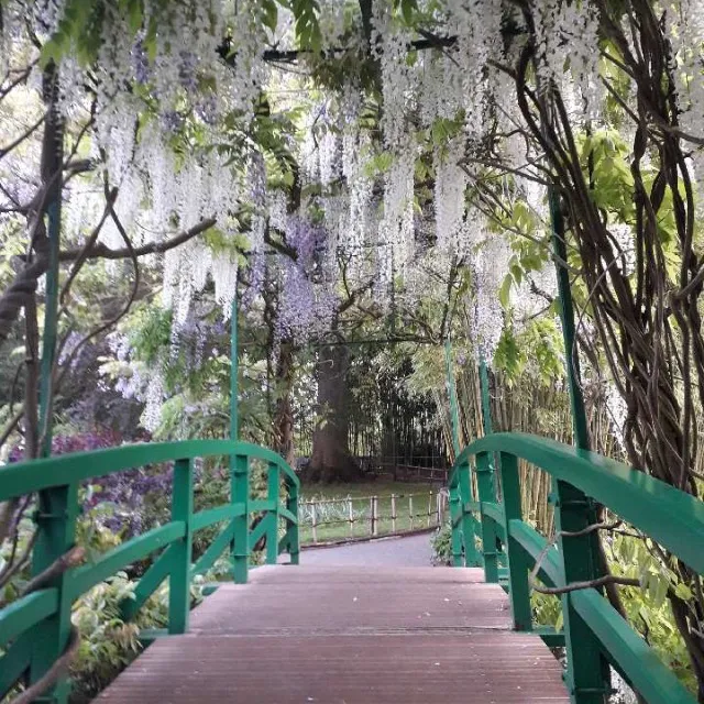 GIVERNY….