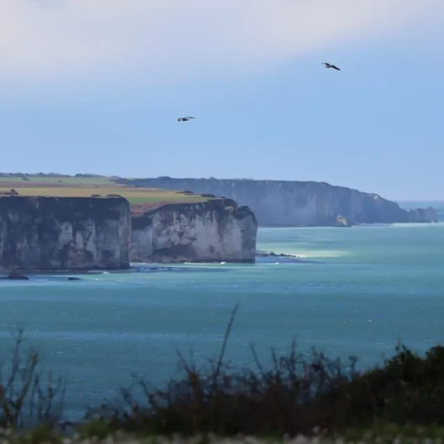Fécamp : évasion Côtière 🌊