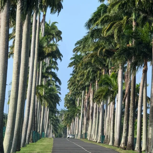 Guadeloupe